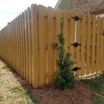 Fence Painting